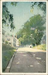 North Street, Tree-lined Road, Plymouth, MA Postcard