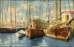 Forest of Masts, Gloucester Harbor, Fishing Vessels Postcard