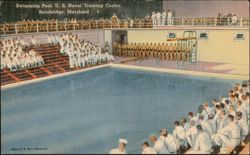 Swimming Pool, U. S. Naval Training Center Postcard