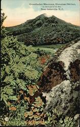 Grandfather Mountain Asheville NC Postcard Herbert Pelton Postcard