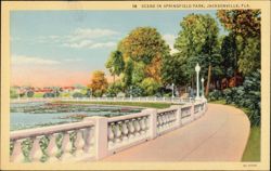 Springfield Park Scene, Pond, Balustrade Postcard