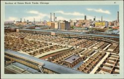 Union Stock Yards, Chicago Postcard