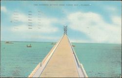 Sunshine Skyway Over Tampa Bay Postcard