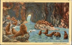 Sea Lions (Winter Herd), Sea Lion Caves Postcard