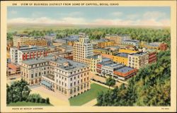 Business District from Capitol Dome Postcard