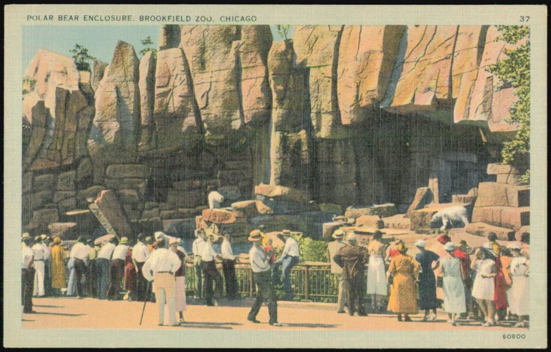 Polar Bear Enclosure at Brookfield Zoo Chicago Illinois