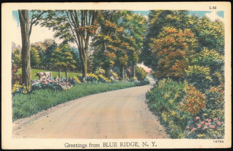 Scenic Country Road in Blue Ridge, New York