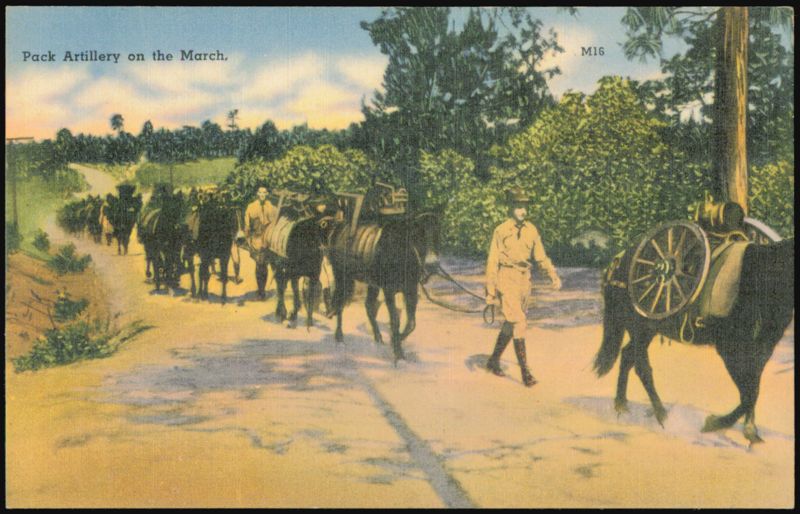 Pack Artillery on the March, Military Series Army