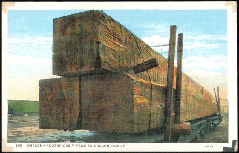 Oregon Toothpicks Giant Timber Logs Portland Logging