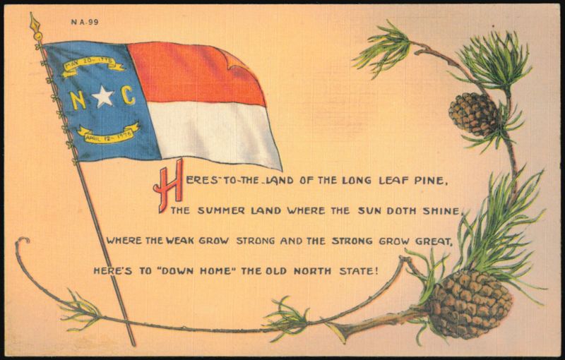 North Carolina State Flag and Pine Cones Morganton