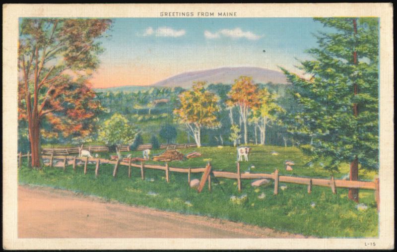 Greetings from Maine, Rural Landscape with Cows