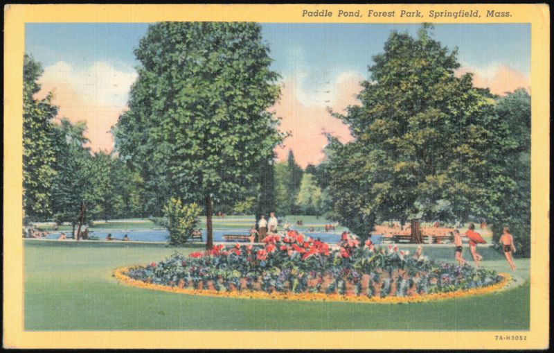 Paddle Pond, Forest Park Springfield Massachusetts