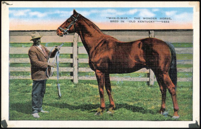 Man-o-War, The Wonder Horse Louisville Kentucky Horses