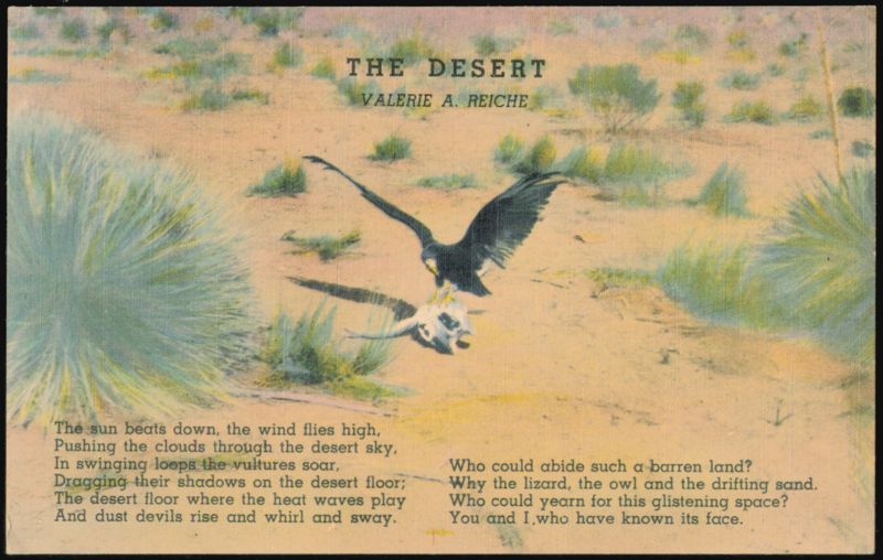 The Desert by Valerie A. Reiche Alamogordo New Mexico