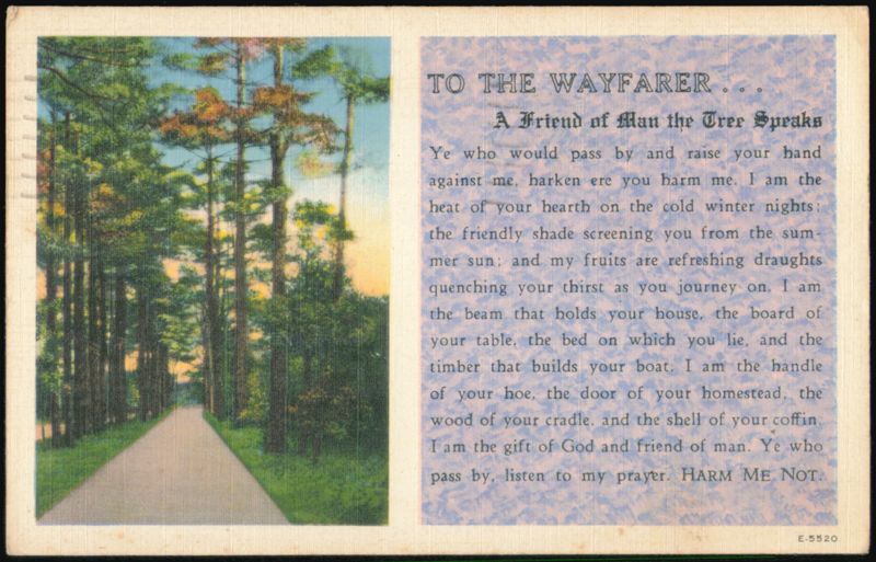 To the Wayfarer A Friend of Man the Tree Speaks Trees
