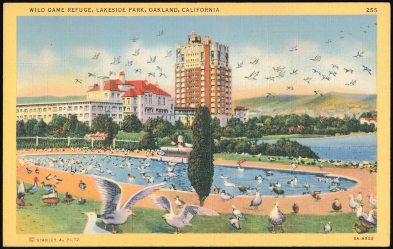 Wild Game Refuge, Lakeside Park Oakland California