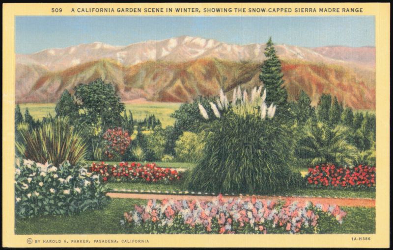California Garden Scene in Winter, Sierra Madre Range Pasadena