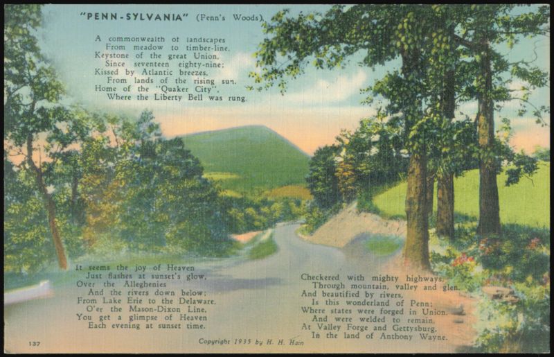 Penn-Sylvania Penn's Woods Landscape, Route 87 Sullivan County Pennsylvania