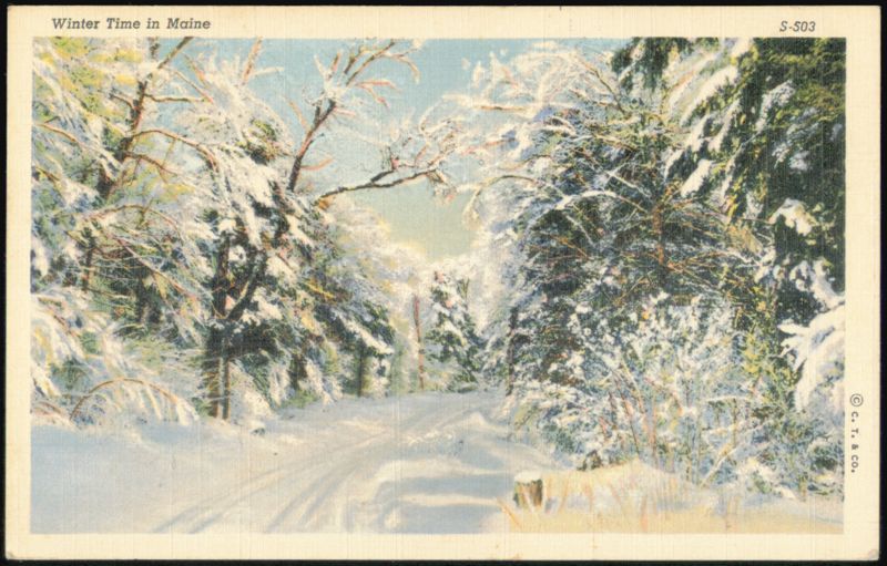 Winter Time in Maine Snow Covered Road Scene