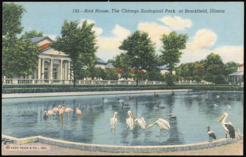 Bird House at The Chicago Zoological Park Brookfield Illinois