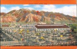Stock Yards, Ogden, Utah Postcard