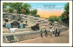 Barless Bear Den, Washington Park Postcard