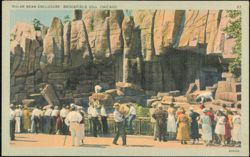 Polar Bear Enclosure at Brookfield Zoo Postcard