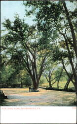 Paxtang Park, Harrisburg, Pennsylvania Postcard