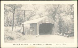 Branch Bridge, Newfane, Vermont Postcard