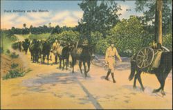 Pack Artillery on the March, Military Series Postcard