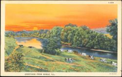 Rural Landscape with Cattle at Sunset Postcard