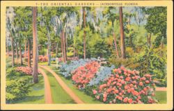 The Oriental Gardens, Jacksonville, Florida Postcard