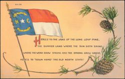 North Carolina State Flag and Pine Cones Postcard