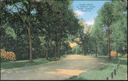 River Drive in Trinity Park, Fort Worth, Texas Postcard