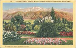 California Garden Scene in Winter, Sierra Madre Range Postcard