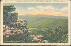 Mountain Laurel, Pennsylvania State Flower, Tuscarora View Postcard