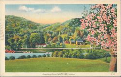 Scenic Landscape View, Machias, Maine Postcard