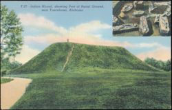 Indian Mound and Burial Ground near Tuscaloosa, Alabama Postcard