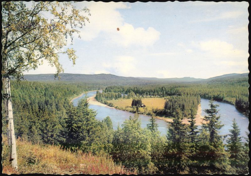 Scenic River Landscape in Sweden