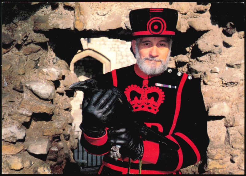 Yeoman Raven Master with Jackie the Raven, Tower of London United Kingdom