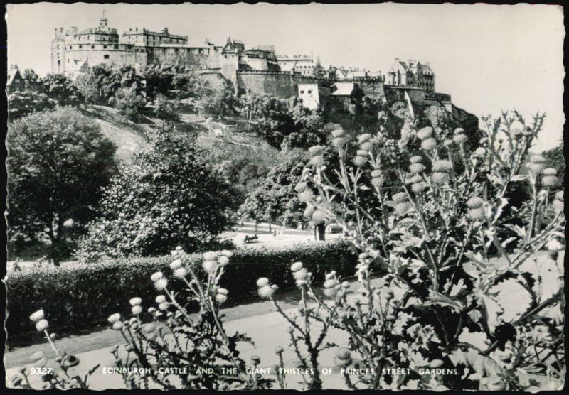 Edinburgh Castle and Giant Thistles, Princes Street Gardens Scotland