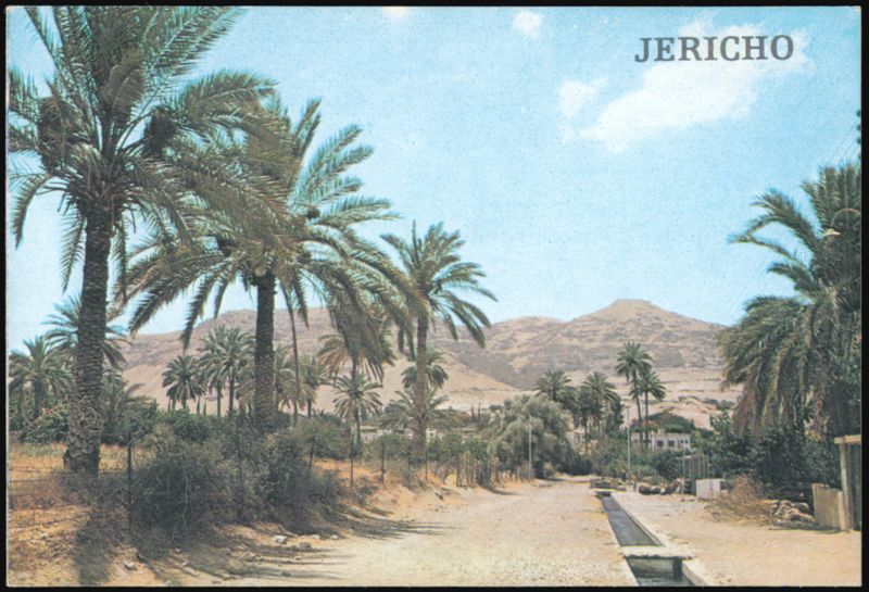 Fountain of Eliseus, Jericho Palestine I. Amad Middle East