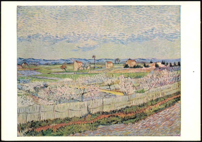 The Orchard by Vincent van Gogh, 1889 Art Print Advertising Reproductions