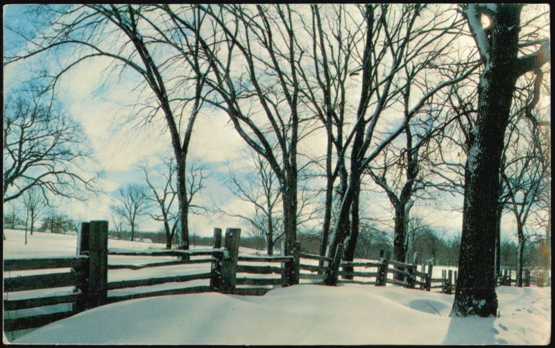 Winter Landscape with Snow-Covered Wooden Fence Trees