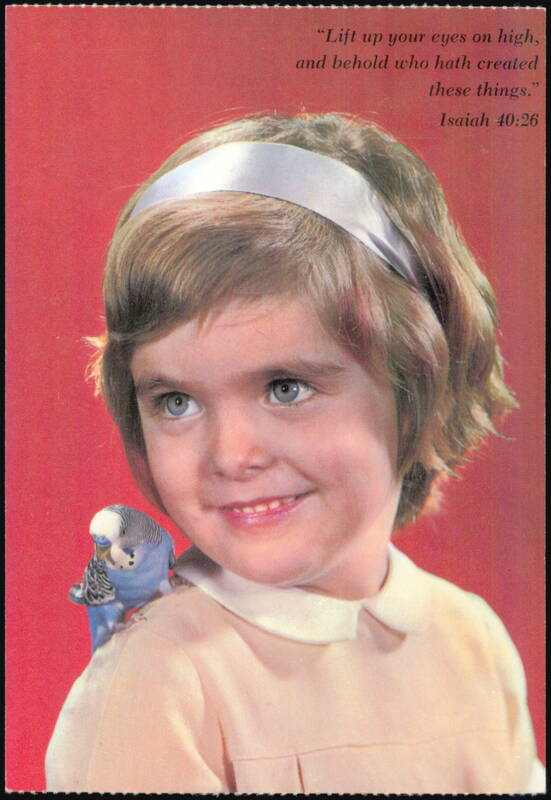 Girl with Blue Budgie Parakeet, Isaiah 40:26 Quote
