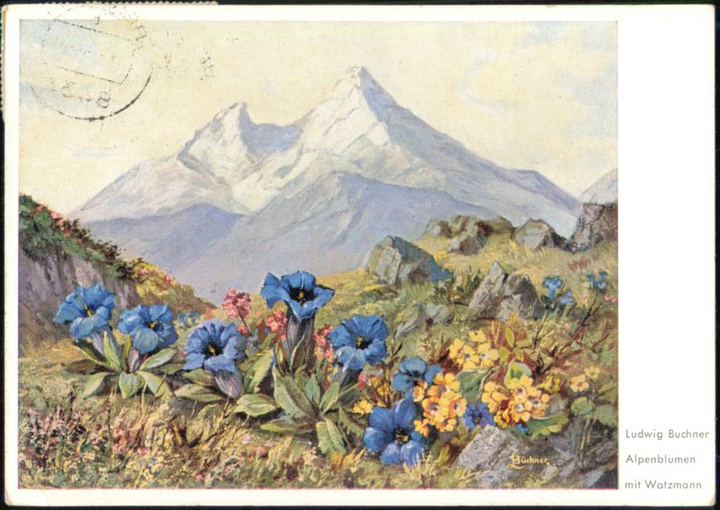 Alpenblumen mit Watzmann Mountain Landscape Berchtesgaden Germany