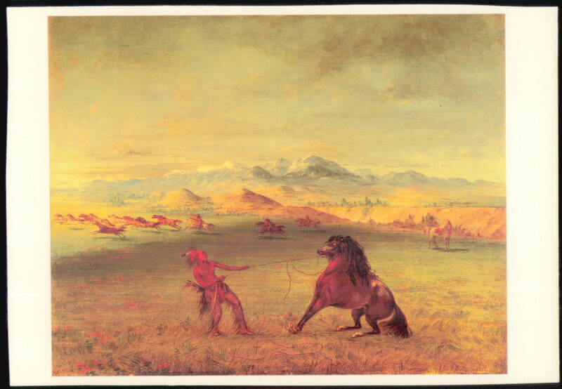 Breaking Down the Wild Horse by George Catlin Art Cowboy Western