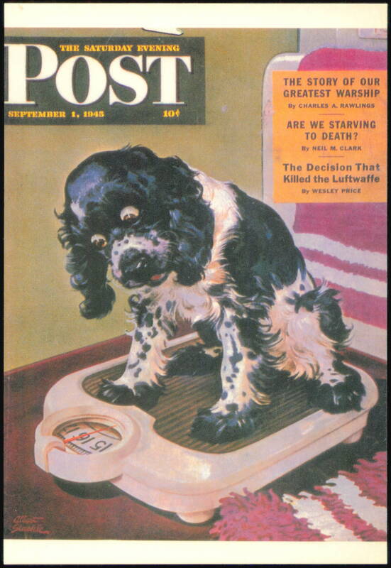 The Weight Watcher by Albert Staehle Saturday Evening Post