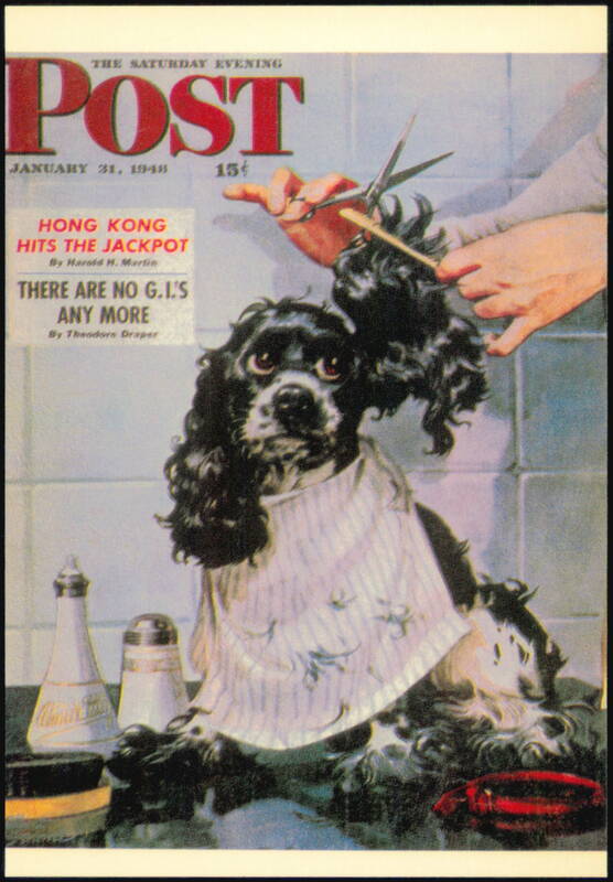 Shaping Up, Cocker Spaniel Getting a Haircut by Albert Staehle