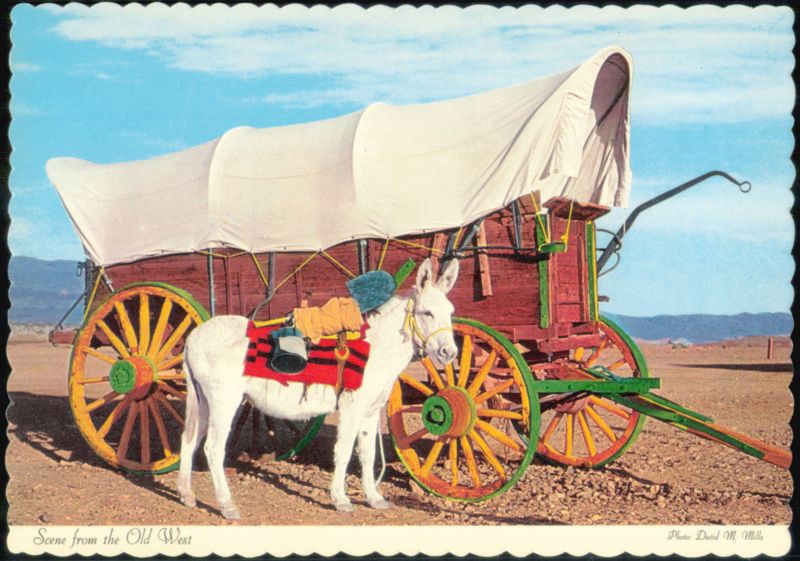 Mule and Conestoga Wagon Scene from the Old West Virginia City Nevada